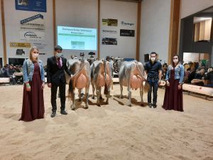 Schneuter BS Senior vlnr Jadara Tina Bonita